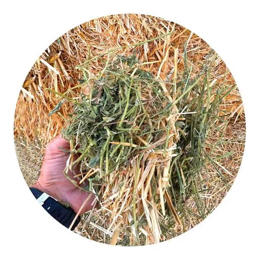 Alfalfa Wheat Straw Mix