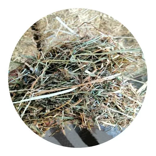 Alfalfa Rye Grass Mix