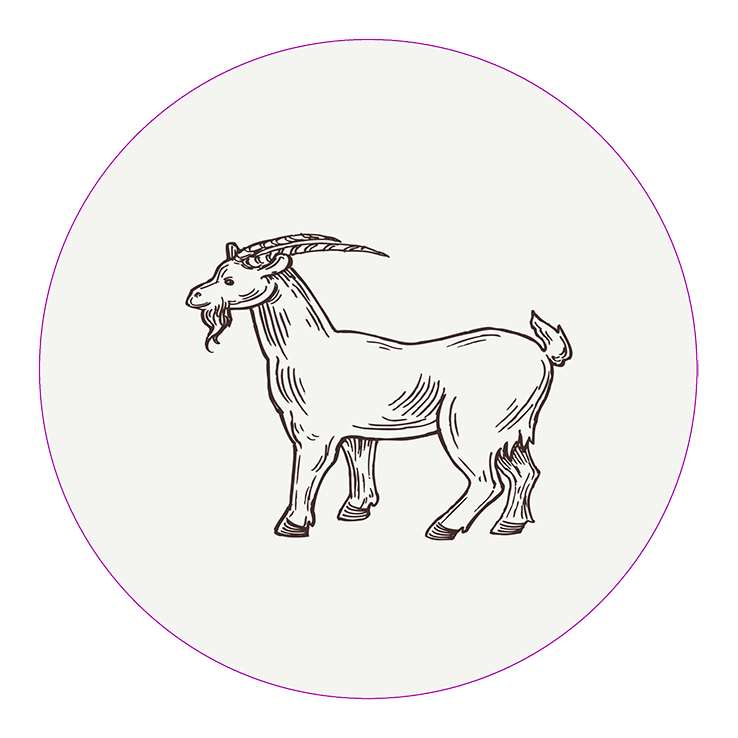 Goat Goat