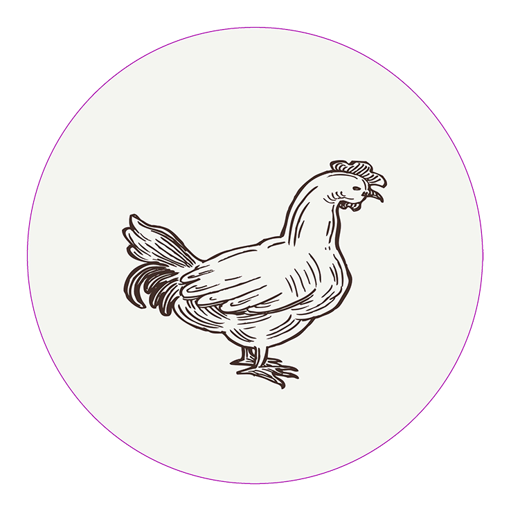 Poultry Poultry