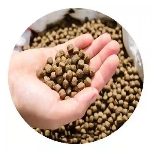 Tilapia Fish Feed (Floating) 32% – 3mm